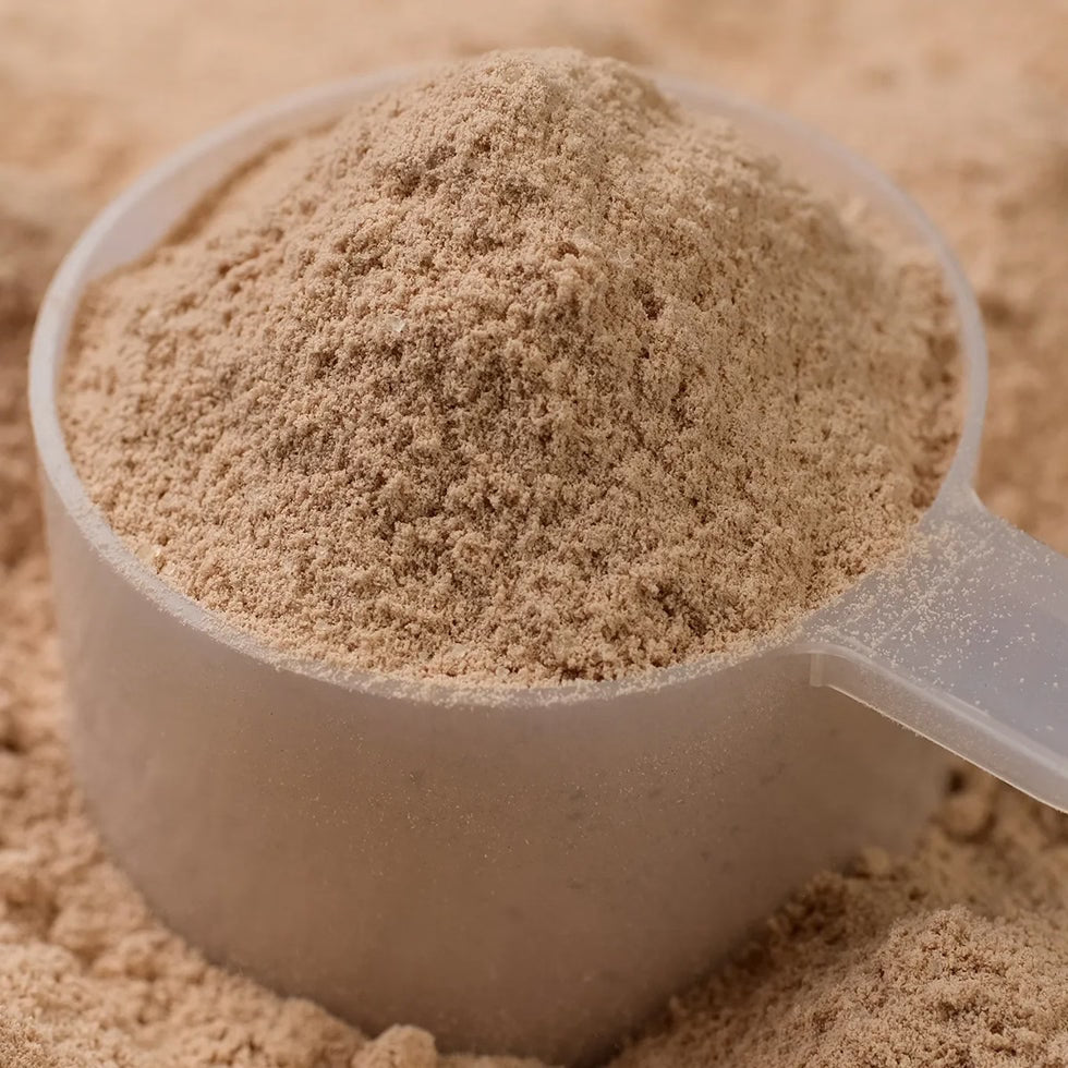 ageLOC® TRMe® Protein (Chocolate) 
